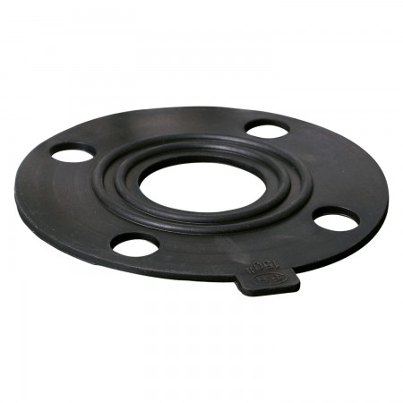 SEAL EPDM FOR FLANGE 2 1/2" 150 LBS ANSI